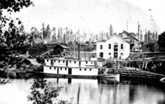 White Family Arrives, 1884 snohomish stories