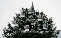 snohomish stories image