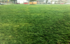 Locating Home Plate snohomish stories image